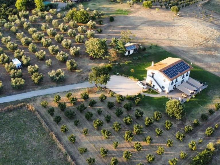 فندق Agriturismo Casale Lisalola سوتري المظهر الخارجي الصورة