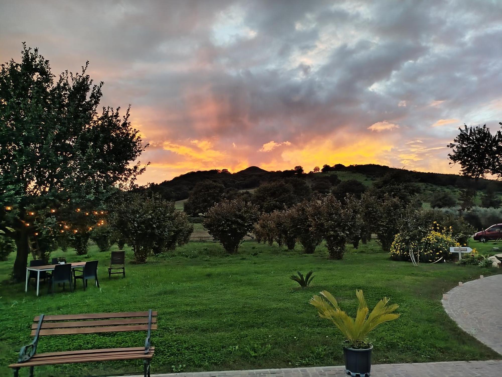 فندق Agriturismo Casale Lisalola سوتري المظهر الخارجي الصورة