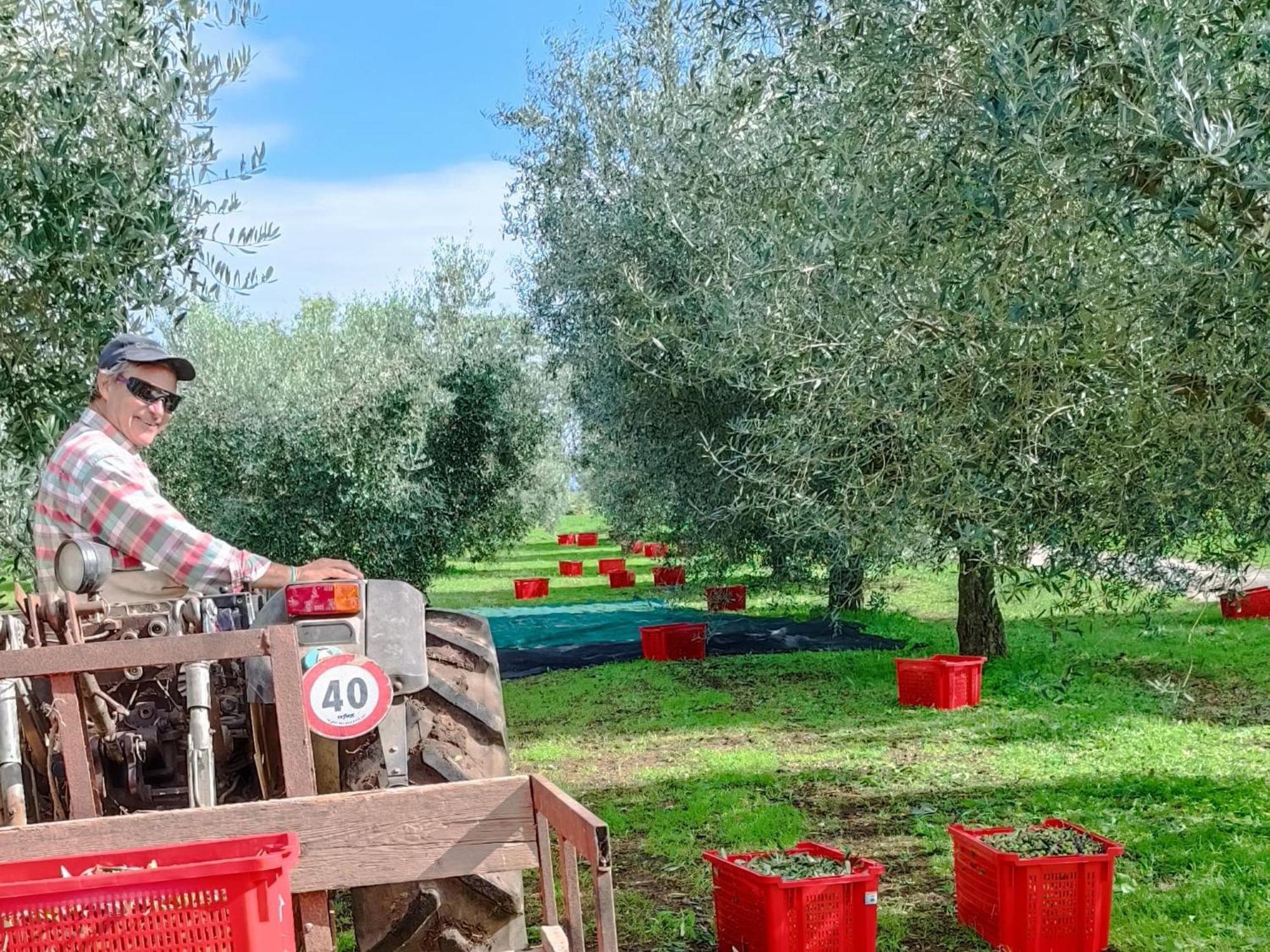 فندق Agriturismo Casale Lisalola سوتري المظهر الخارجي الصورة