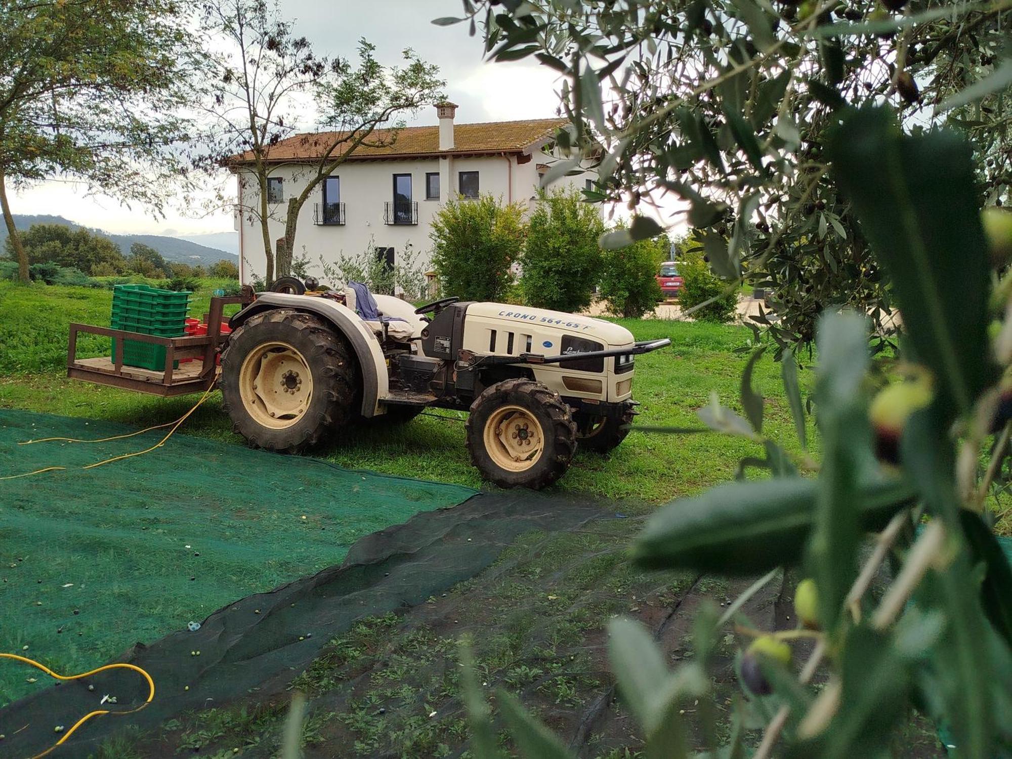 فندق Agriturismo Casale Lisalola سوتري المظهر الخارجي الصورة