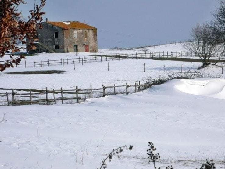 فندق Agriturismo Casale Lisalola سوتري المظهر الخارجي الصورة